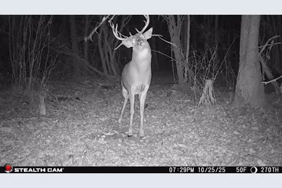 Tbd 270th Street, Deer Creek, MN 56527 - Photo 62