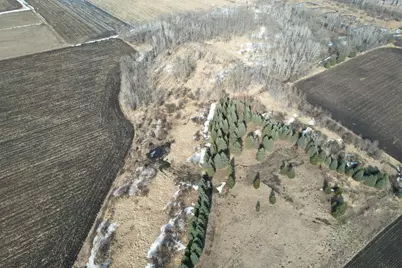 Tbd 270th Street, Deer Creek, MN 56527 - Photo 4