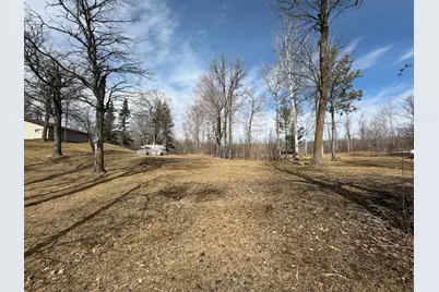 29603 374th Street, Ogema, MN 56569 - Photo 8