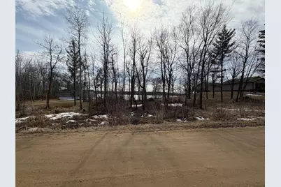 29603 374th Street, Ogema, MN 56569 - Photo 10