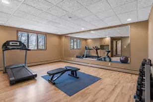 1638 Celia Rd, Mendota Heights, MN 55118 - Photo 46