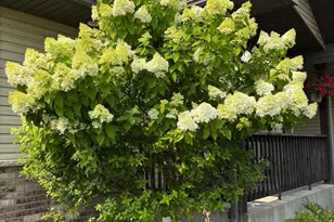 3642 Maple Drive S, Cambridge, MN 55008 - Photo 72