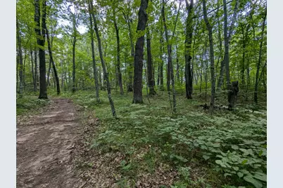Lot 2 Fosmo, Webster, WI 54893 - Photo 6