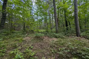 Lot 3 Fosmo, Webster, WI 54893 - Photo 1