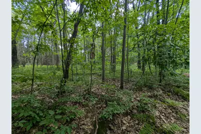 Lot 5 Fosmo, Webster, WI 54893 - Photo 4