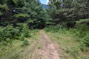 Lot 5 Fosmo, Webster, WI 54893 - Photo 1