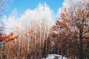 8421 156th Ln NW, Ramsey, MN 55303 - Photo 32