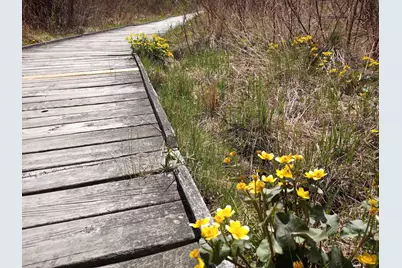 8421 156th Lane NW, Ramsey, MN 55303 - Photo 30