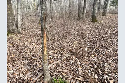 21280 State 92, Bagley, MN 56621 - Photo 92