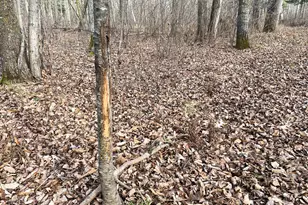 21280 State 92, Bagley, MN 56621 - Photo 92