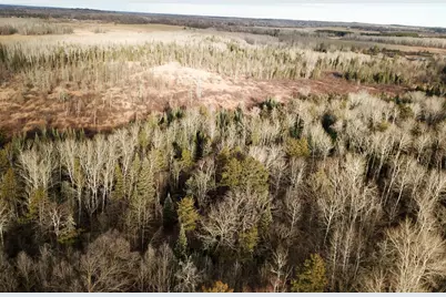 21280 State 92, Bagley, MN 56621 - Photo 16