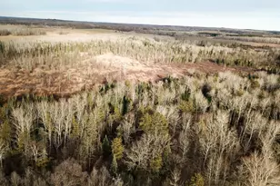 21280 State 92, Bagley, MN 56621 - Photo 16