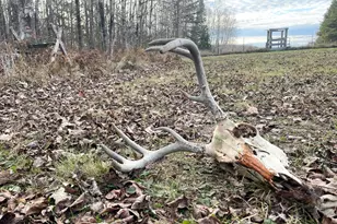 21280 State 92, Bagley, MN 56621 - Photo 108