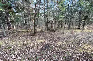 21280 State 92, Bagley, MN 56621 - Photo 96