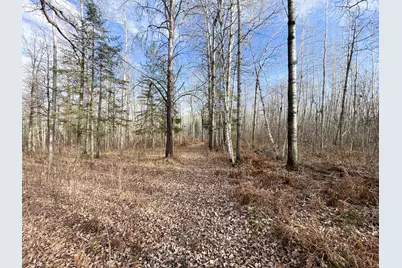 21280 State 92, Bagley, MN 56621 - Photo 94