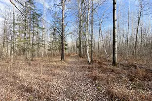 21280 State 92, Bagley, MN 56621 - Photo 94