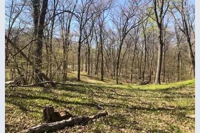 Tbd Hidden Oaks Drive NW, Alexandria, MN 56308 - Photo 2