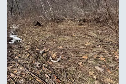 0 Hwy 53, Galesville, WI 54630 - Photo 8