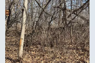 0 Hwy 53, Galesville, WI 54630 - Photo 30