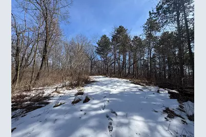 0 Hwy 53, Galesville, WI 54630 - Photo 10