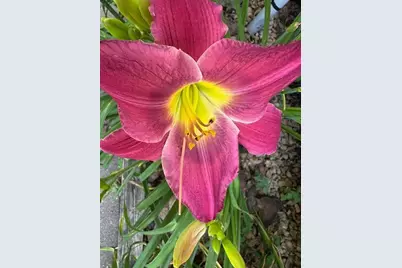 9447 Pilgrim Lane N, Maple Grove, MN 55369 - Photo 56