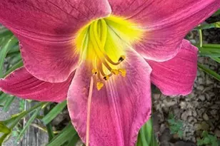 9447 Pilgrim Ln N, Maple Grove, MN 55369 - Photo 56