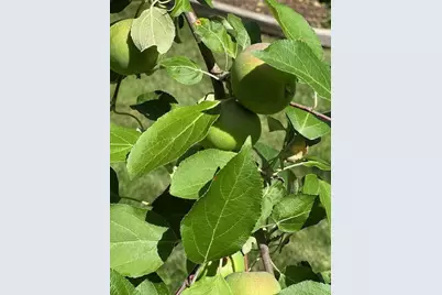 9447 Pilgrim Lane N, Maple Grove, MN 55369 - Photo 60