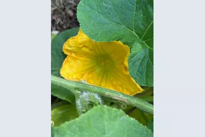 9447 Pilgrim Lane N, Maple Grove, MN 55369 - Photo 42