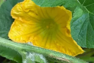 9447 Pilgrim Ln N, Maple Grove, MN 55369 - Photo 42