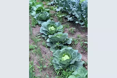 9447 Pilgrim Lane N, Maple Grove, MN 55369 - Photo 64