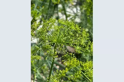 9447 Pilgrim Lane N, Maple Grove, MN 55369 - Photo 44