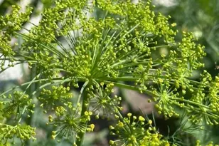 9447 Pilgrim Ln N, Maple Grove, MN 55369 - Photo 44