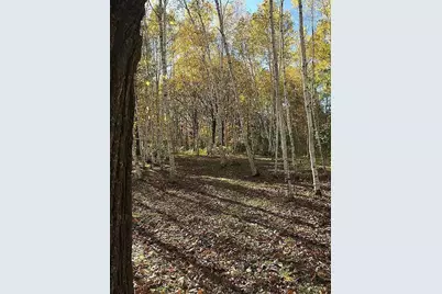 66605 Norway Spruce Road, Finlayson, MN 55735 - Photo 30