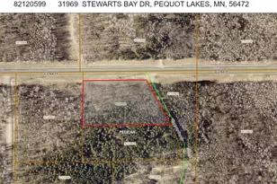 31969 Stewarts Bay Dr, Pequot Lakes, MN 56472 - Photo 30