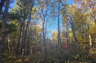 1894 S Lost Lake Rd, Danbury, WI 54830 - Photo 32