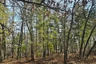 1894 S Lost Lake Rd, Danbury, WI 54830 - Photo 26