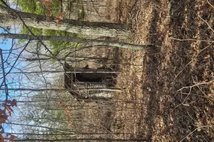 1894 S Lost Lake Rd, Danbury, WI 54830 - Photo 28