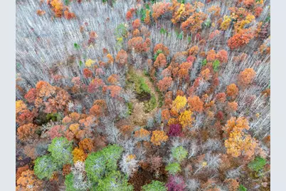 1894 S Lost Lake Road, Danbury, WI 54830 - Photo 38