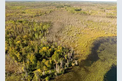 Tbd Cedar Point Rd, Marcell, MN 56657 - Photo 18