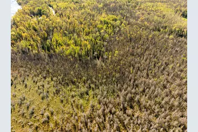 Tbd Cedar Point Rd, Marcell, MN 56657 - Photo 10