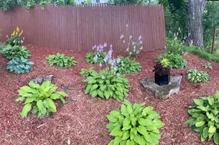 68836 215th St, Darwin, MN 55324 - Photo 84