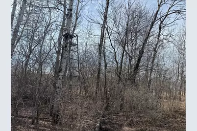 6336 230th Street, Saint Augusta, MN 56301 - Photo 80