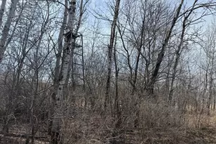 6336 230th St, Saint Augusta, MN 56301 - Photo 80