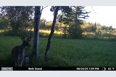 51339 350th Street, Salol, MN 56756 - Photo 26