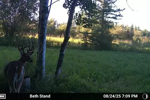 51339 350th St, Salol, MN 56756 - Photo 26