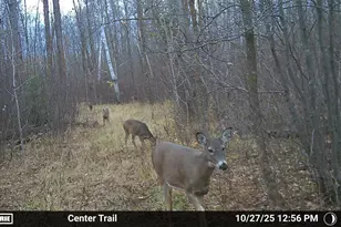 51339 350th St, Salol, MN 56756 - Photo 28