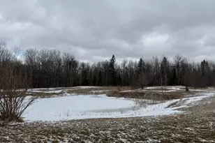 51339 350th St, Salol, MN 56756 - Photo 24