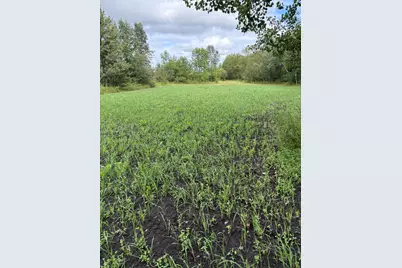 51339 350th Street, Salol, MN 56756 - Photo 32