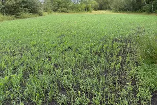 51339 350th St, Salol, MN 56756 - Photo 32