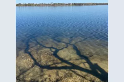 31281 Brightwood Shore Drive, Dent, MN 56528 - Photo 6